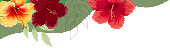 Hibiscus Cafe Barbados Top Right Banner Hibiscus Flowers