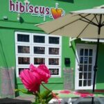 Hibiscus Cafe Oistins Barbados Exterior view of hibiscus flowers surrounding hand painted picnic benches with umbrellas